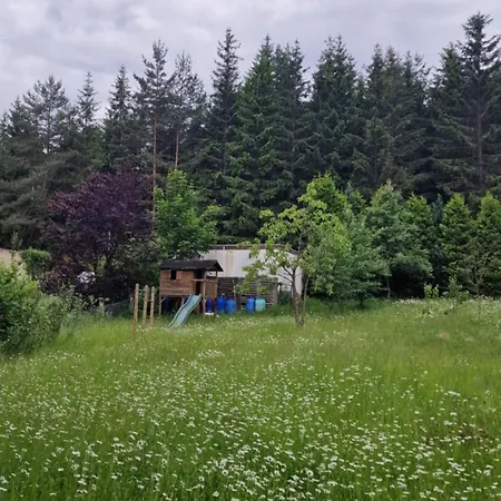 Altes Zollhaus Im Wald アパート
