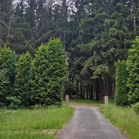 Altes Zollhaus Im Wald アパート Rehau