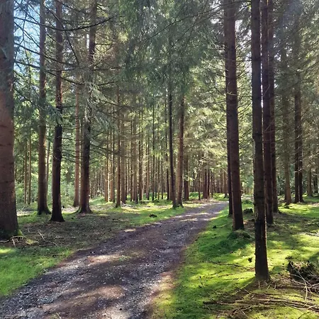 アパート Altes Zollhaus Im Wald