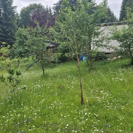 Altes Zollhaus Im Wald アパート