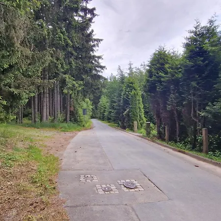 Altes Zollhaus Im Wald アパート Rehau