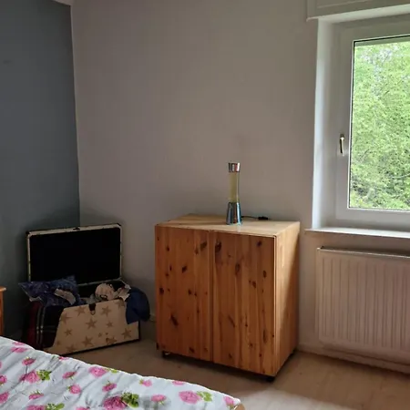 アパート Altes Zollhaus Im Wald Rehau