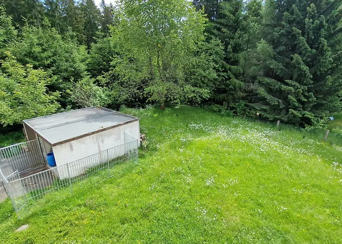 Altes Zollhaus Im Wald Rehau
