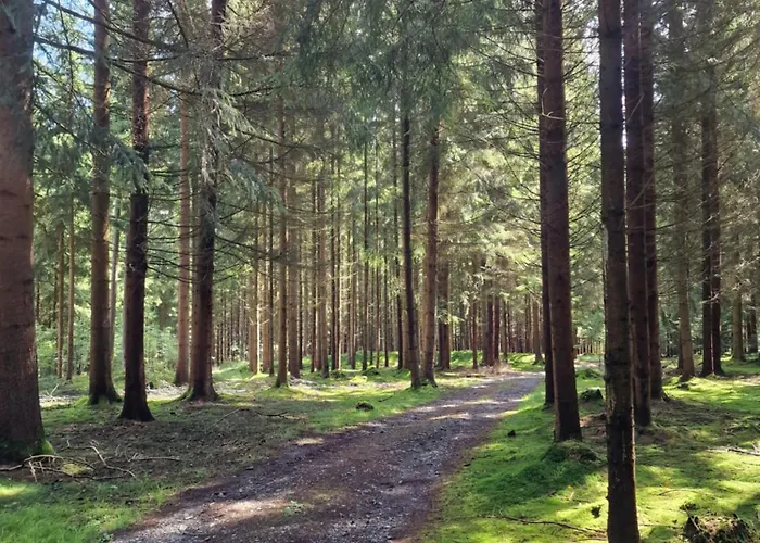 דירה Altes Zollhaus Im Wald