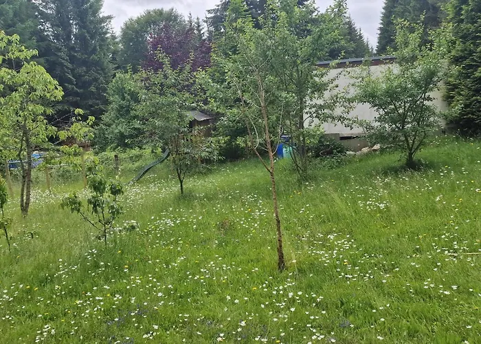 Altes Zollhaus Im Wald דירה