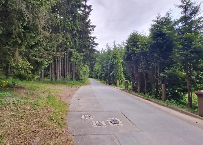 Altes Zollhaus Im Wald דירה Rehau