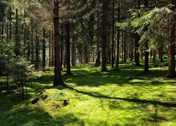 Altes Zollhaus Im Wald דירה