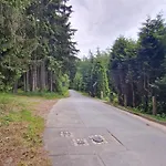 Altes Zollhaus Im Wald Lejlighed Rehau