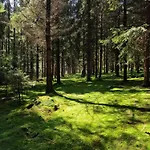 Altes Zollhaus Im Wald Lejlighed