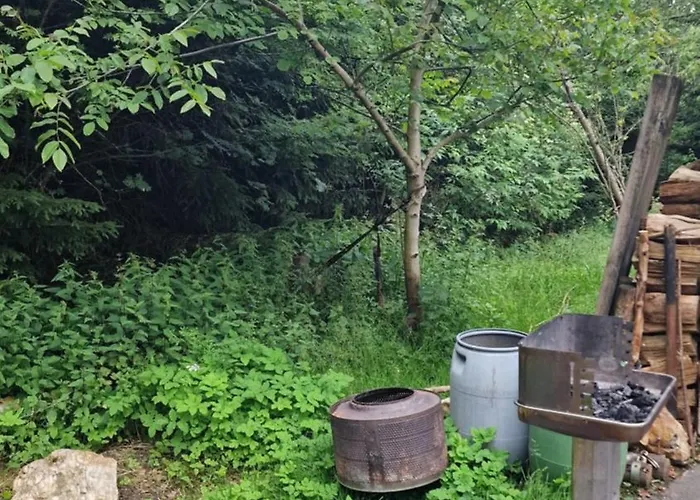 Lägenhet Altes Zollhaus Im Wald Rehau